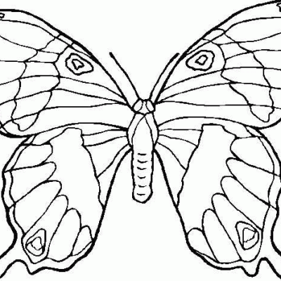 Butterfly Coloring Pages - Dive into the World of Beautiful Butterflies with Printable Coloring Fun!