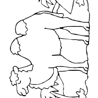 Ourcoloringpage Camels 13