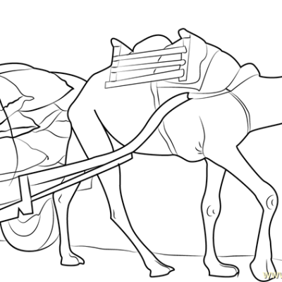 Ourcoloringpage Camels 14
