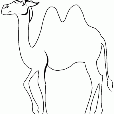 Ourcoloringpage Camels 19