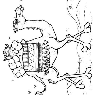 Ourcoloringpage Camels 20