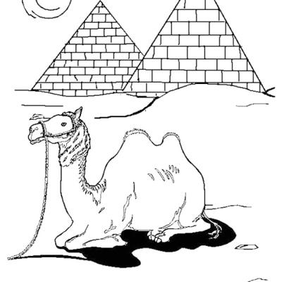 Ourcoloringpage Camels 22