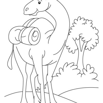 Ourcoloringpage Camels 26