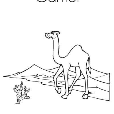 Ourcoloringpage Camels 3