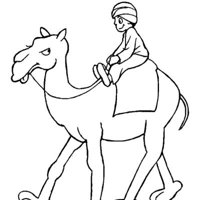 Ourcoloringpage Camels 6
