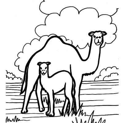 Ourcoloringpage Camels 7