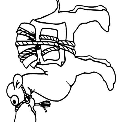 Ourcoloringpage Camels 8
