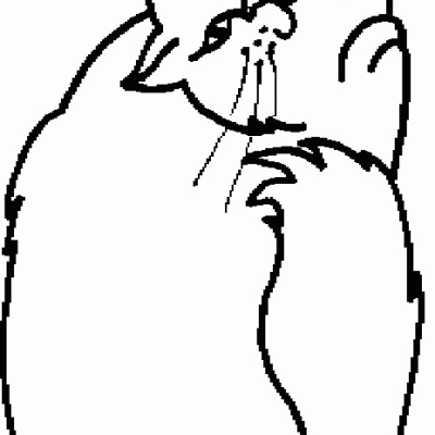 Ourcoloringpage Cats 12