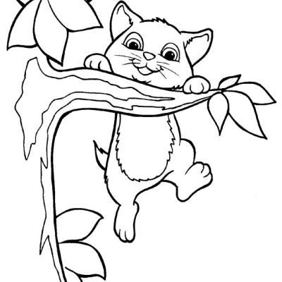 Ourcoloringpage Cats 31