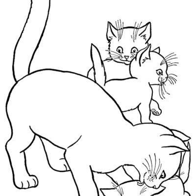 Ourcoloringpage Cats 34