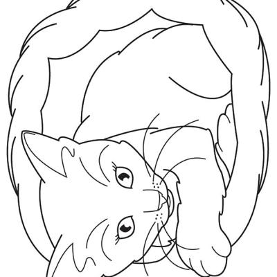 Ourcoloringpage Cats 36