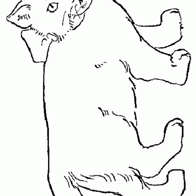 Ourcoloringpage Cats 39