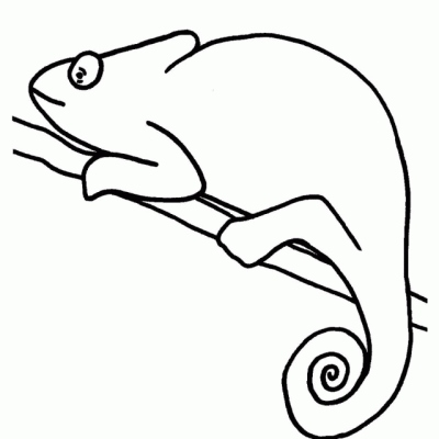 Ourcoloringpage Chameleons 10