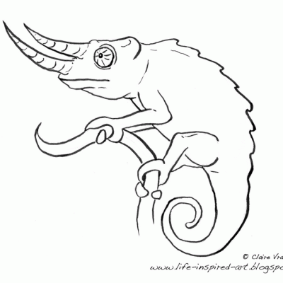 Ourcoloringpage Chameleons 11