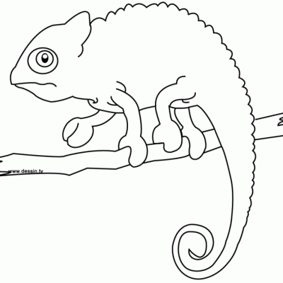 Ourcoloringpage Chameleons 1