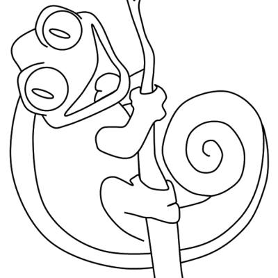 Ourcoloringpage Chameleons 5