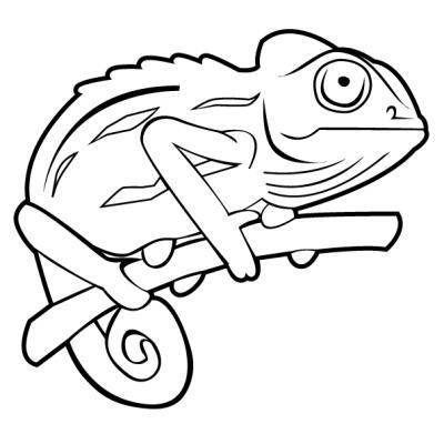 Ourcoloringpage Chameleons 8