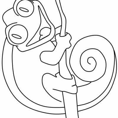 Ourcoloringpage Chameleons 9