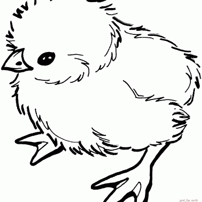 Ourcoloringpage Chicks 14