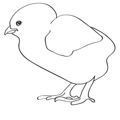 Ourcoloringpage Chicks 16
