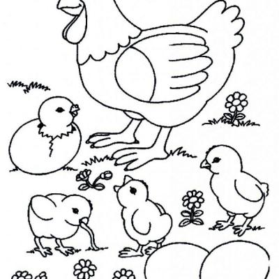 Ourcoloringpage Chicks 17