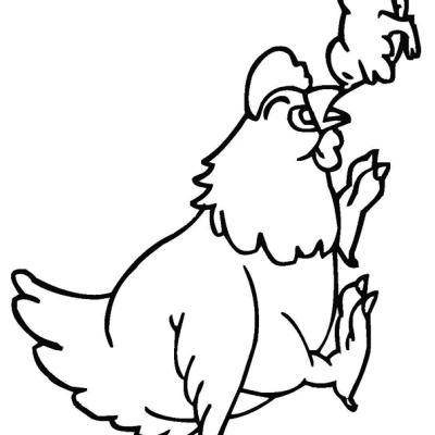 Ourcoloringpage Chicks 18