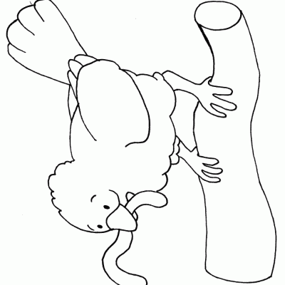 Ourcoloringpage Chicks 21