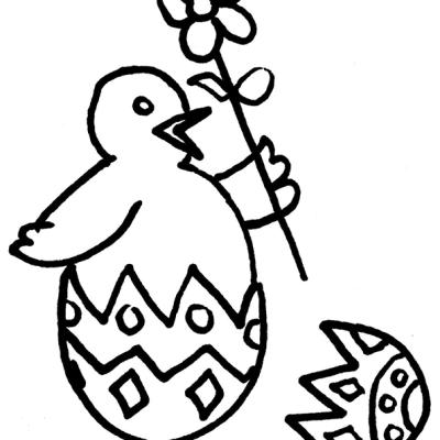 Ourcoloringpage Chicks 2