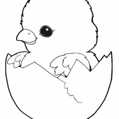 Ourcoloringpage Chicks 6