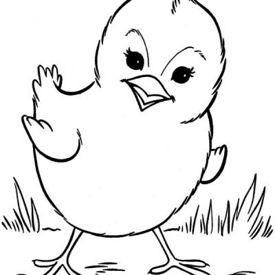 Adorable Chicks Coloring Pages - Bring Cute Little Chicks to Life with Printable Coloring Sheets for Kids!