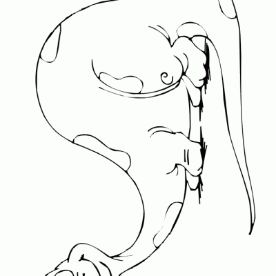Ourcoloringpage Dinosaurs 38