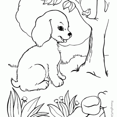 Ourcoloringpage Dogs 12
