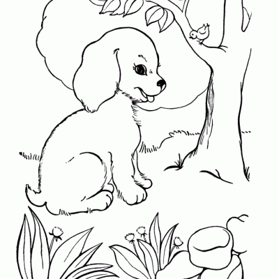 Ourcoloringpage Dogs 20