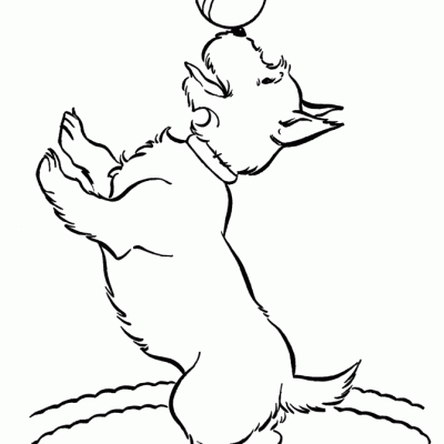Ourcoloringpage Dogs 35