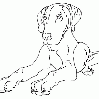 Ourcoloringpage Dogs 39
