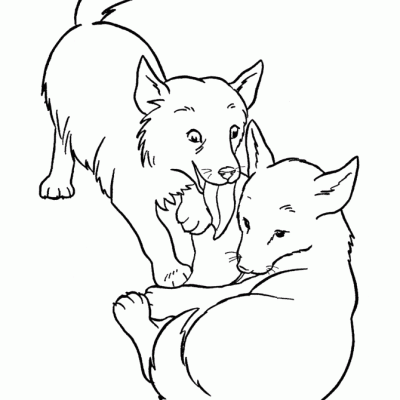 Ourcoloringpage Dogs 7