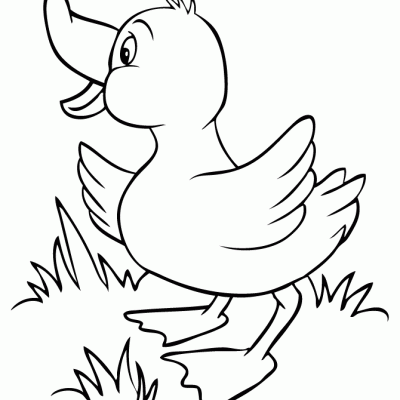 Ourcoloringpage Ducks 12
