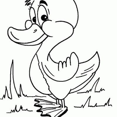 Ourcoloringpage Ducks 16