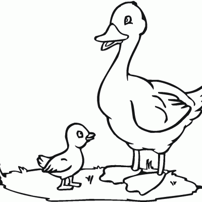 Ourcoloringpage Ducks 20