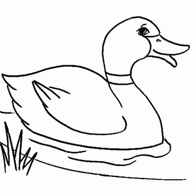Ourcoloringpage Ducks 21