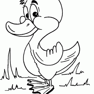 Ourcoloringpage Ducks 23