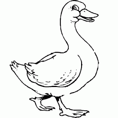 Ourcoloringpage Ducks 24