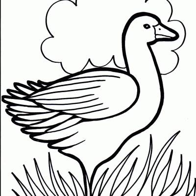 Ourcoloringpage Ducks 25