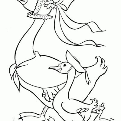 Ourcoloringpage Ducks 26