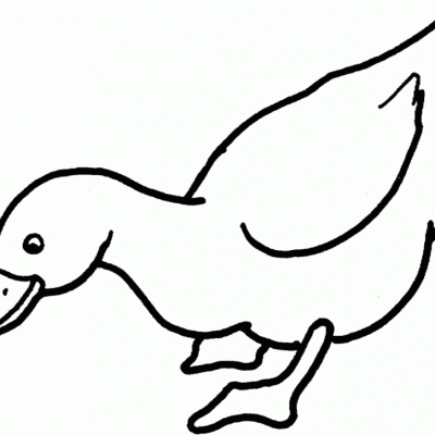 Ourcoloringpage Ducks 27