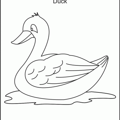Ourcoloringpage Ducks 2