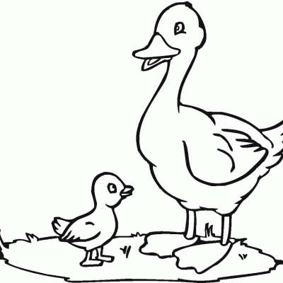 Ourcoloringpage Ducks 31