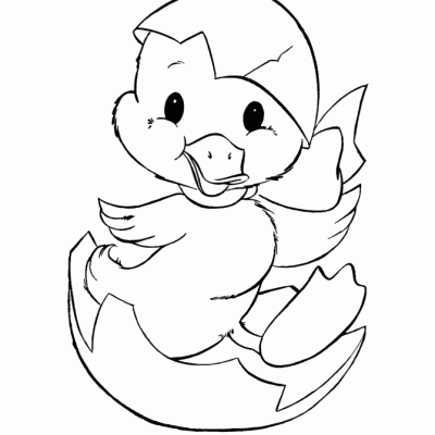 Ourcoloringpage Ducks 32