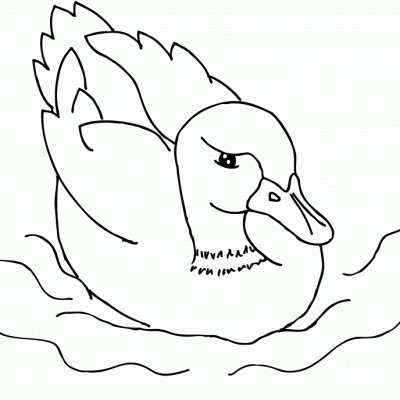 Ourcoloringpage Ducks 35