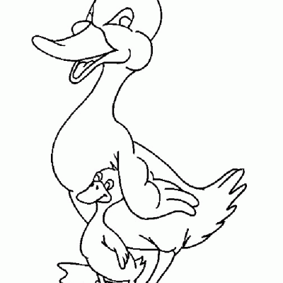 Ourcoloringpage Ducks 36